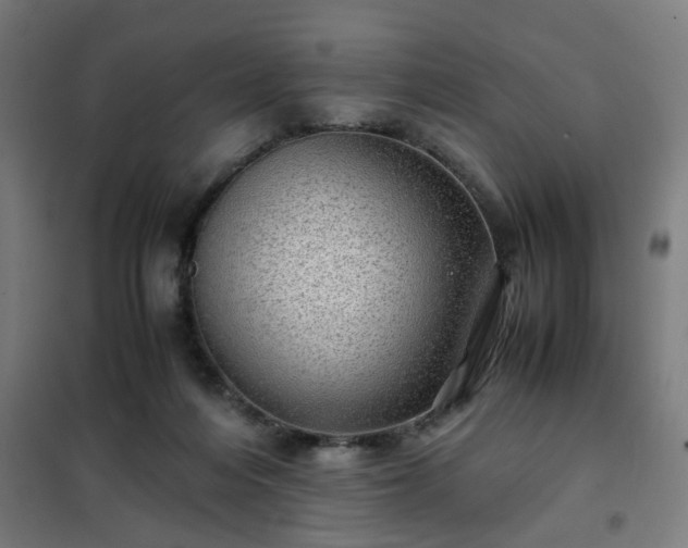 X0000102010216200807251316