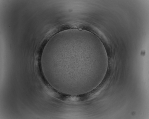 X0000102010217200807251316