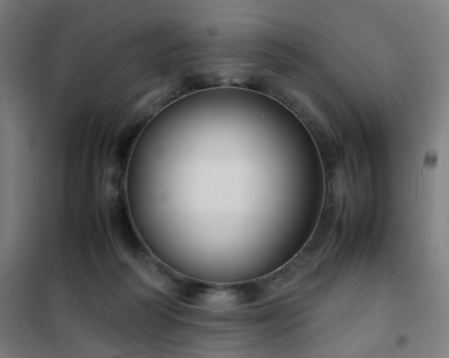 X0000102010218200807251316