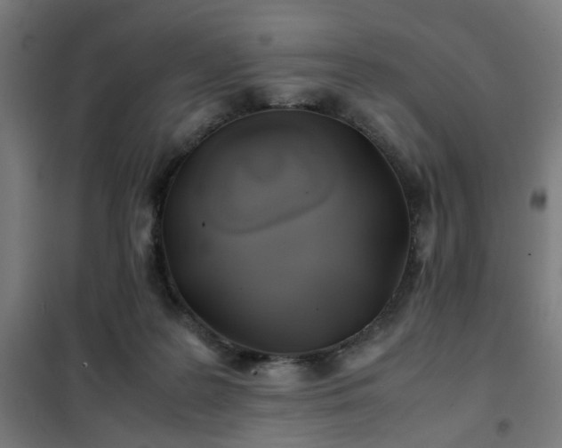 X0000102010219200807251316