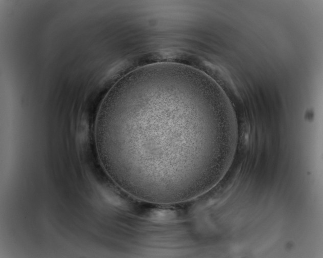 X0000102010220200807251316