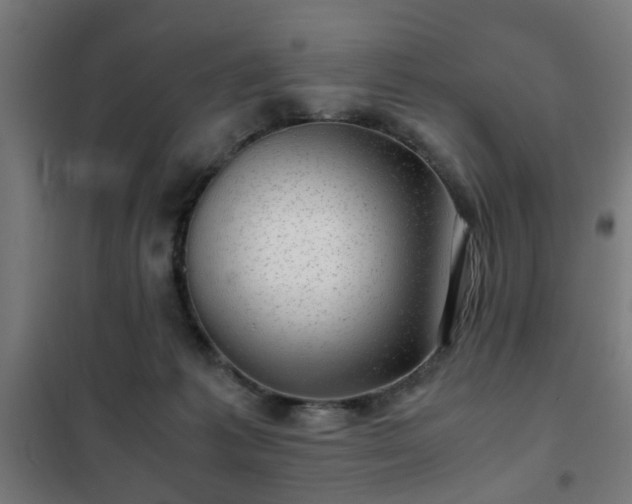 X0000102010221200807251316