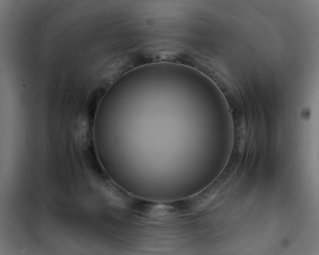 X0000102010222200807251316