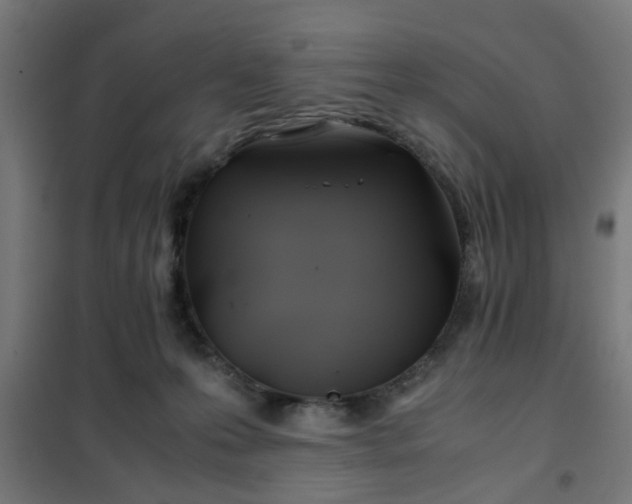 X0000102010223200807251316