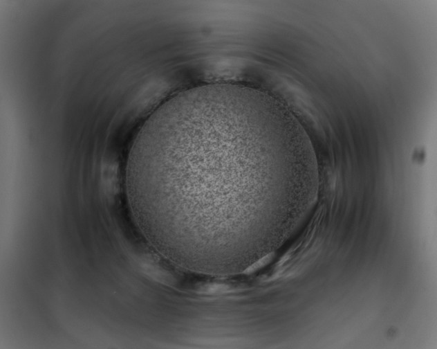 X0000102010224200807251316