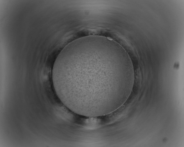 X0000102010225200807251316
