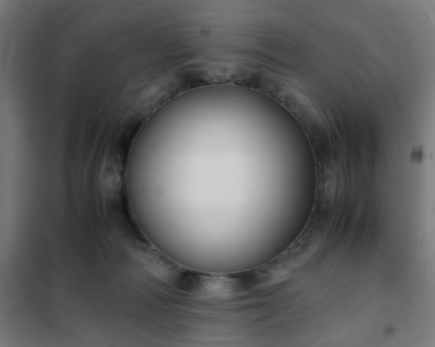 X0000102010226200807251316
