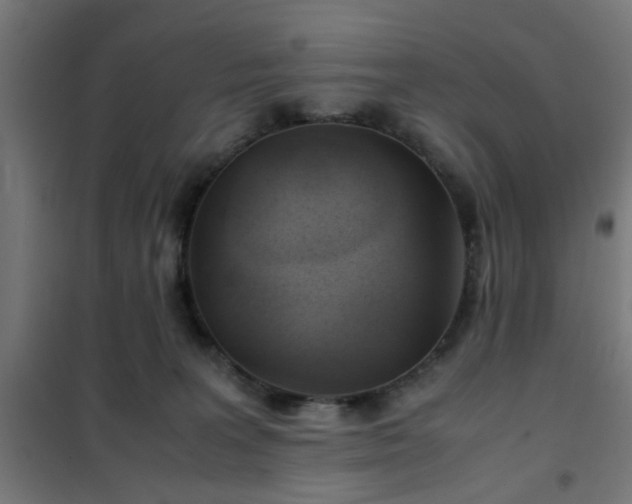 X0000102010227200807251316