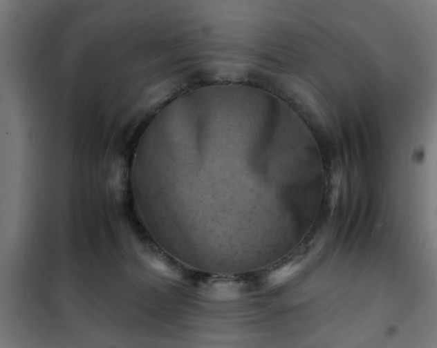 X0000102010228200807251316