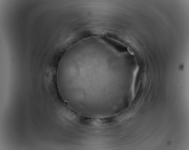 X0000102010229200807251316