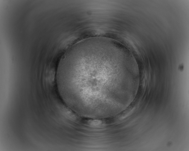 X0000102010230200807251316