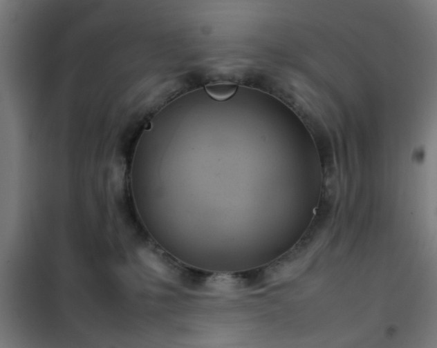 X0000102010231200807251316