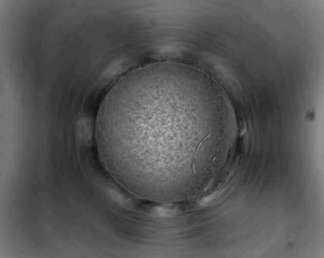 X0000102010232200807251316