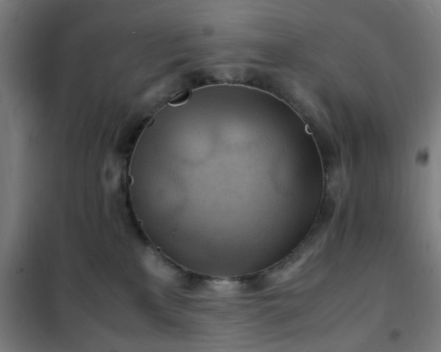 X0000102010233200807251316