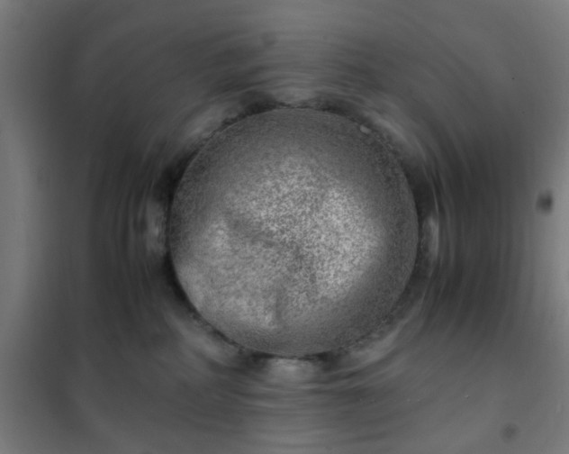 X0000102010234200807251316