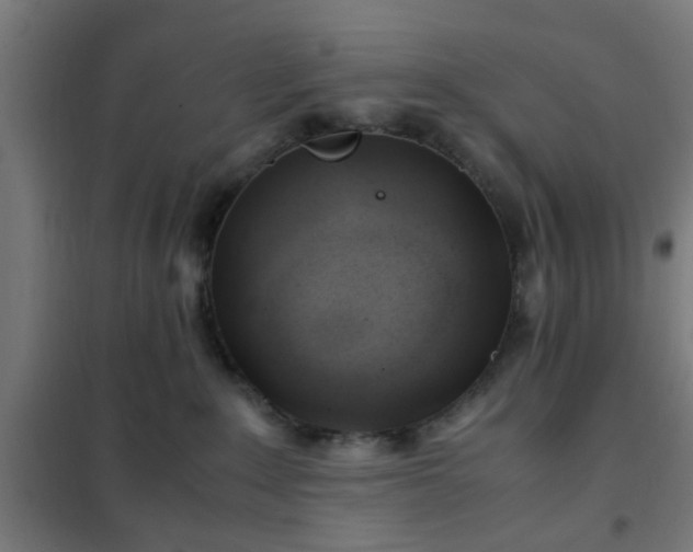 X0000102010235200807251316