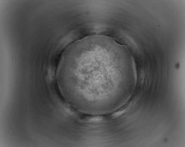 X0000102010236200807251316