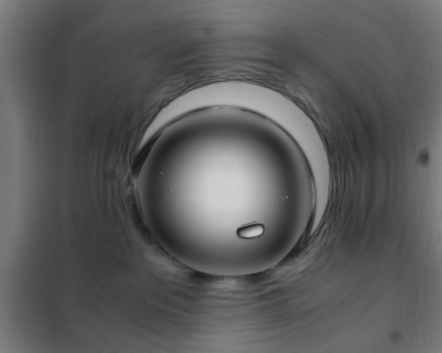 X0000102010237200807251316