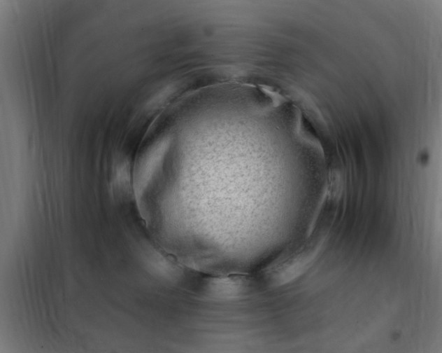 X0000102010238200807251316