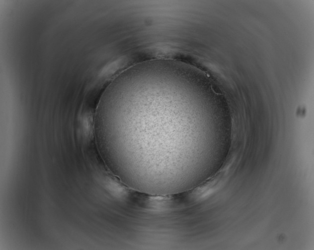 X0000102010240200807251316