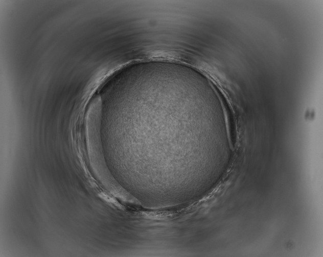 X0000102010241200807251315