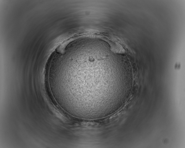 X0000102010242200807251315