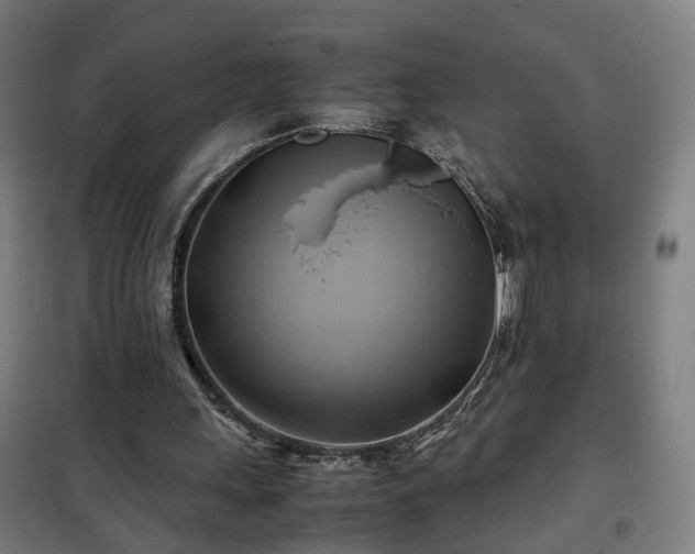 X0000102010243200807251315