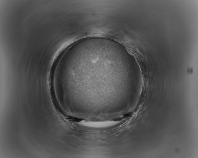 X0000102010244200807251315