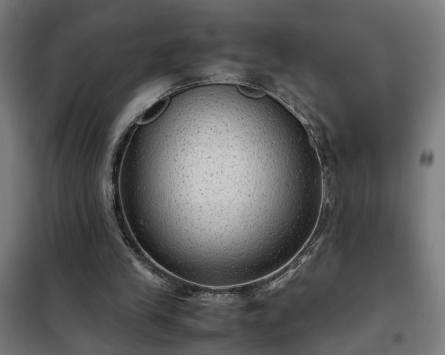 X0000102010245200807251315