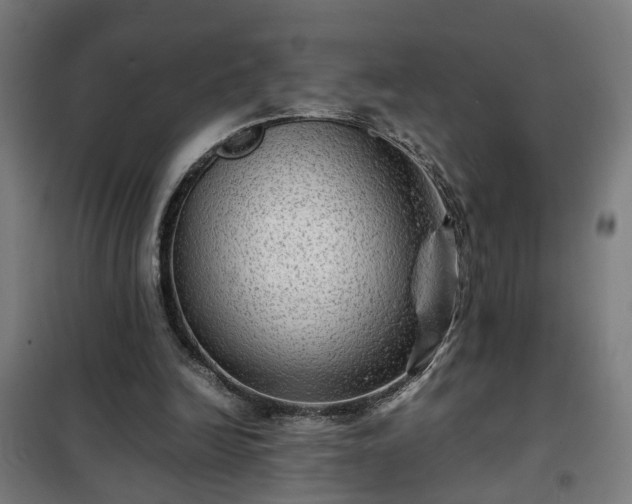 X0000102010246200807251315