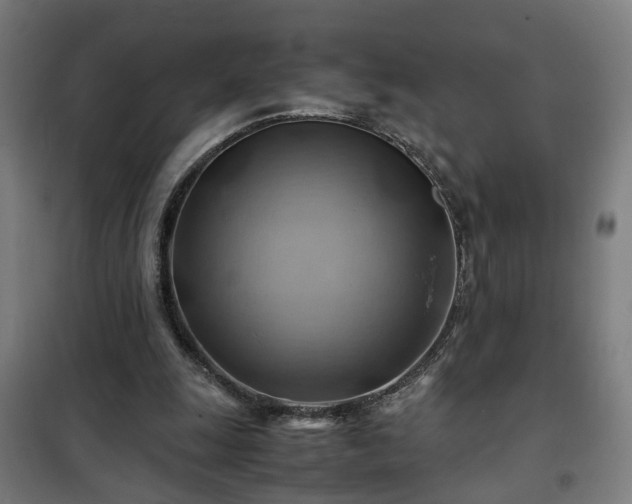X0000102010247200807251315