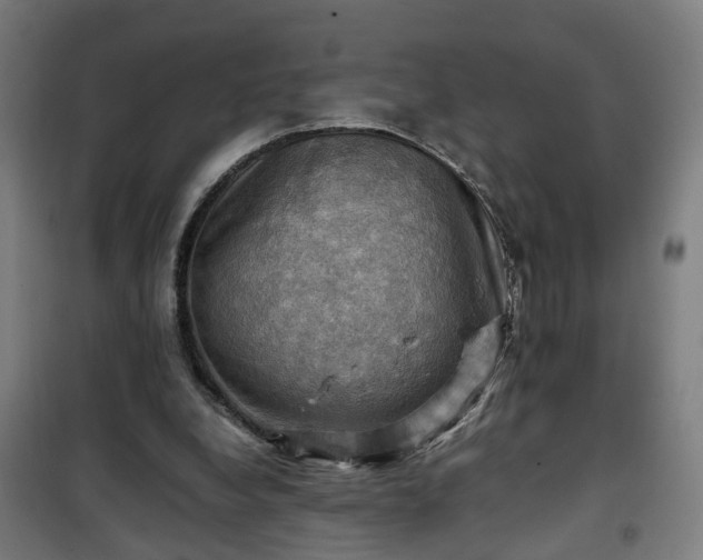 X0000102010248200807251315