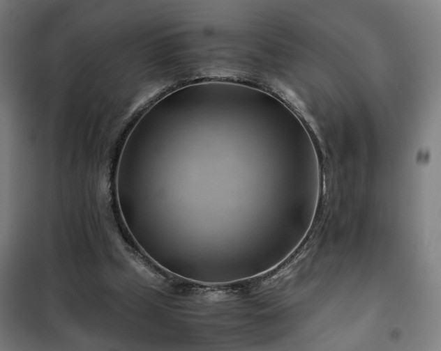 X0000102010249200807251315