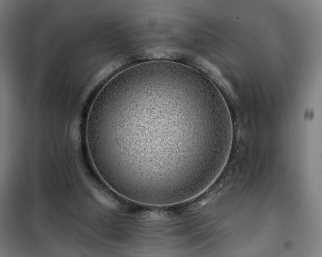 X0000102010250200807251315