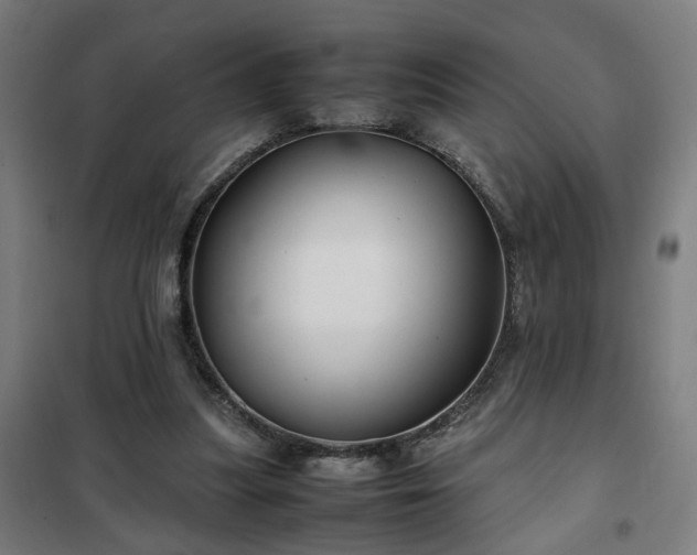 X0000102010251200807251315
