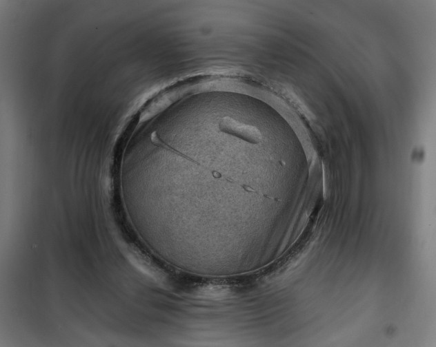 X0000102010252200807251315