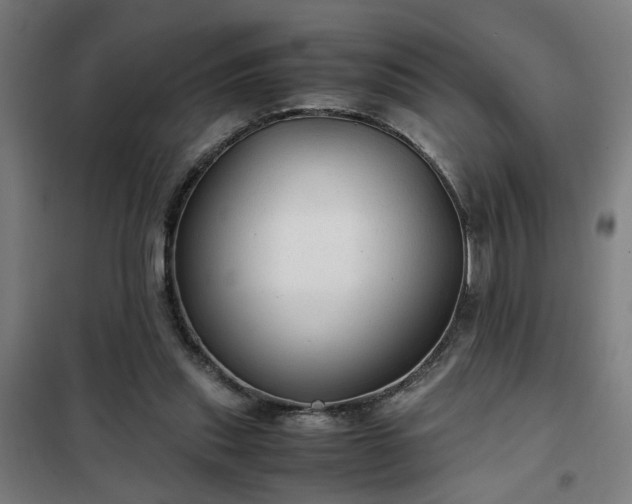 X0000102010253200807251315