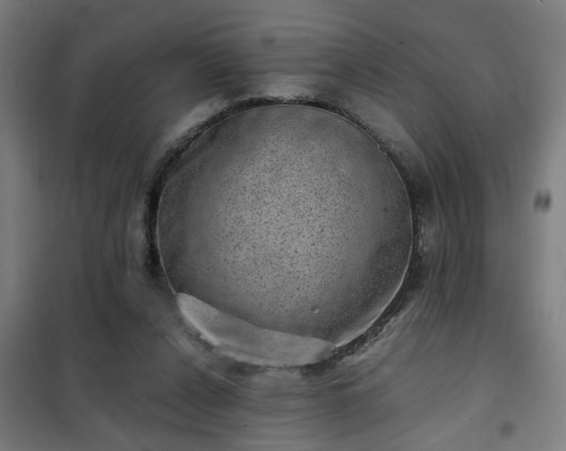 X0000102010256200807251315