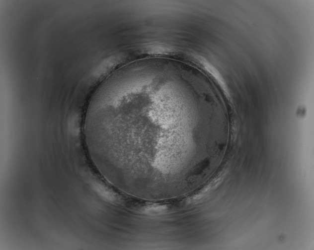 X0000102010257200807251315