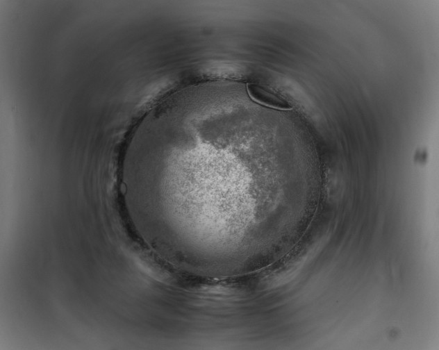 X0000102010259200807251315