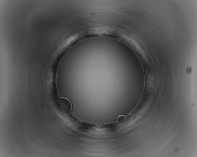 X0000102010260200807251315