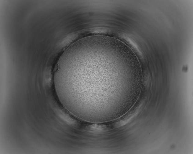 X0000102010261200807251315