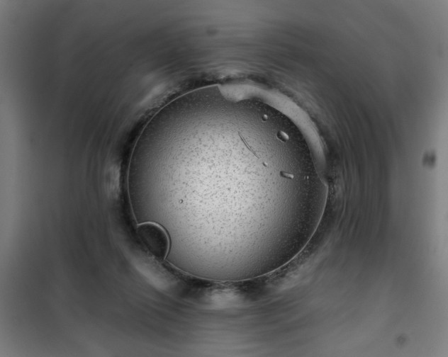 X0000102010262200807251315