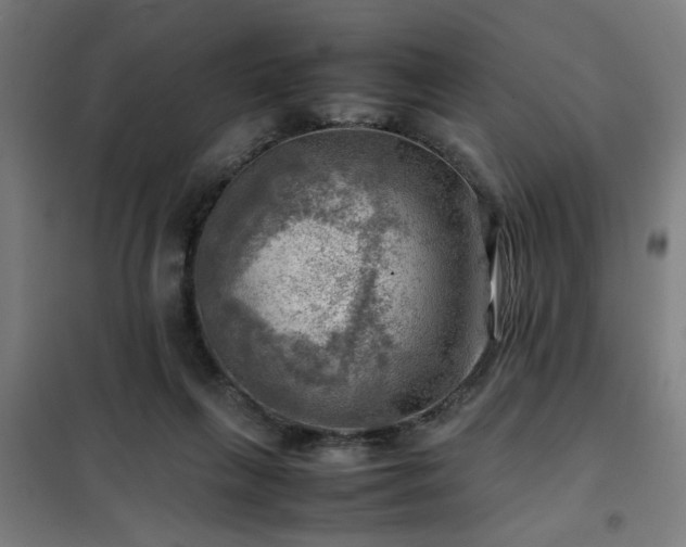 X0000102010263200807251315