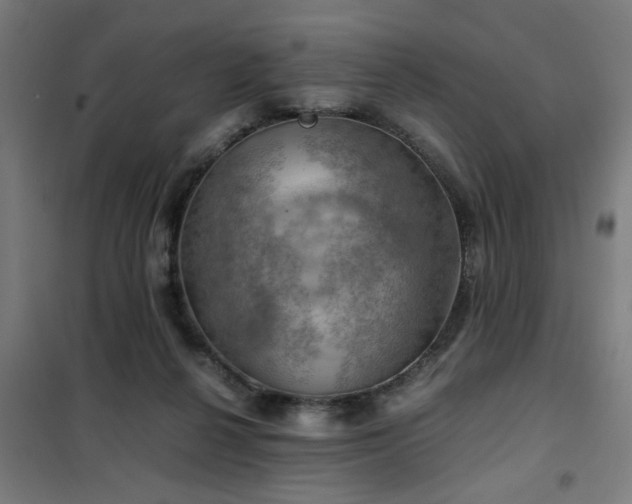 X0000102010264200807251315