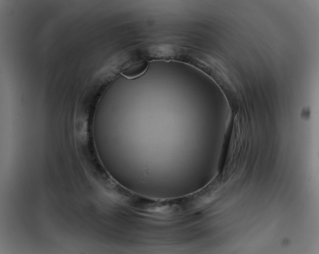 X0000102010267200807251315