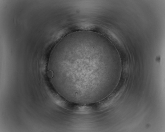 X0000102010268200807251315