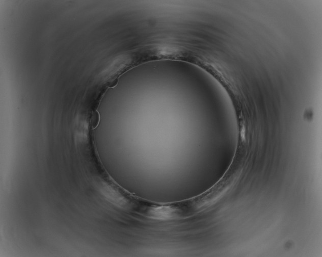 X0000102010269200807251315
