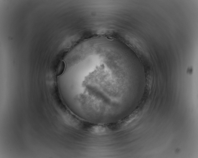 X0000102010272200807251315
