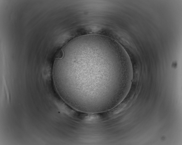 X0000102010274200807251315